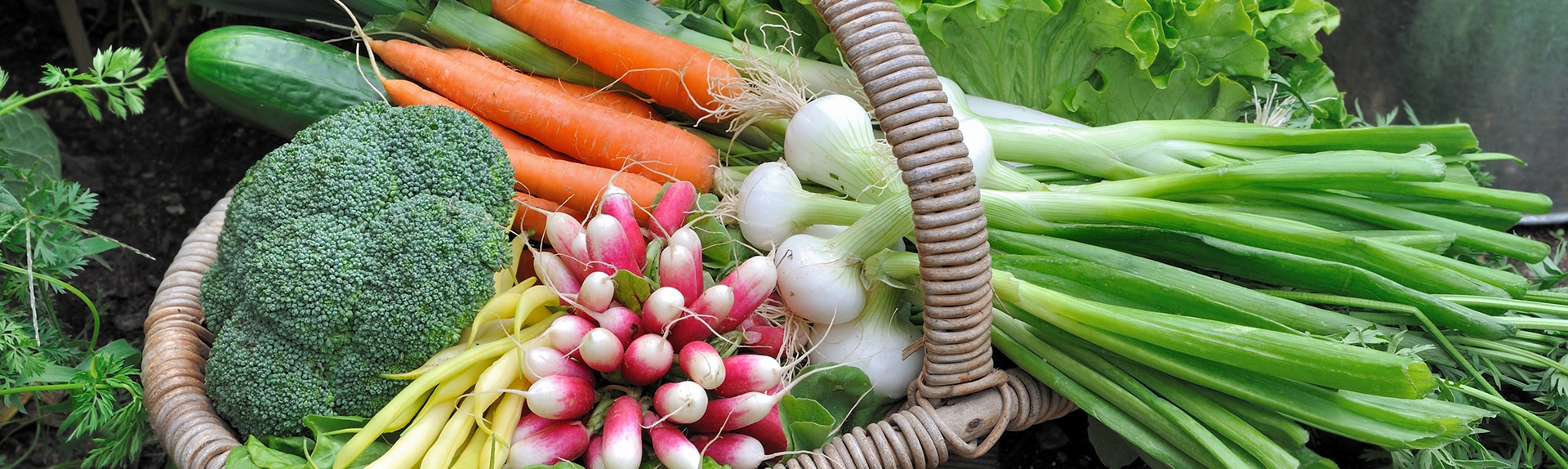 slide-potager-1